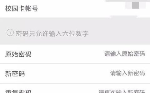 校园卡密码是什么？如何查询和修改？