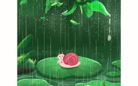 电信惊蛰卡是真的吗，电信惊蛰卡套餐详情