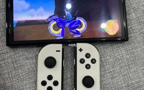 Switch副号：共享游戏乐趣，省钱又方便