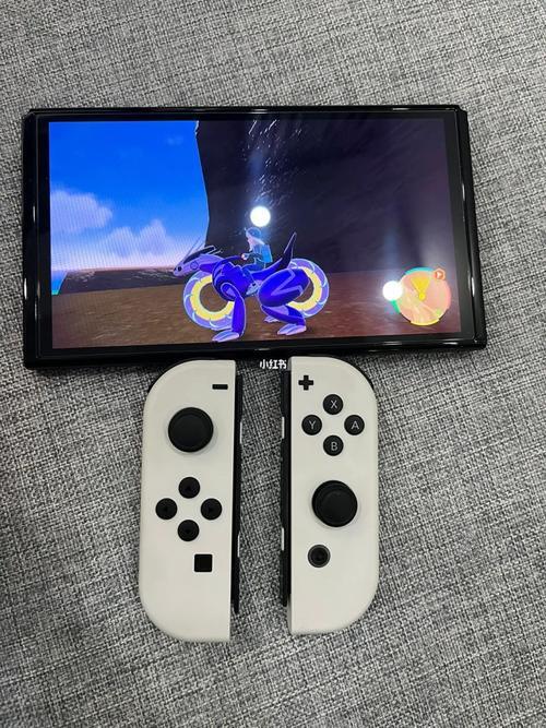Switch副号：共享游戏乐趣，省钱又方便