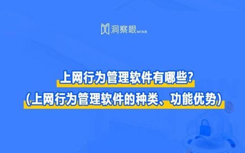 上网行为审计：保障网络安全，提升企业效率的利器
