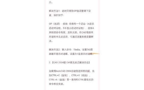 出口带宽怎么看？详细解读与常见问题解答
