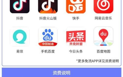 定向流量：是什么？用在哪？