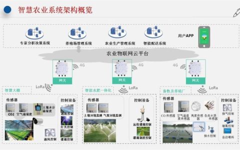 物联网赋能：智能农业系统的崛起与应用