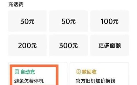 手机副卡能否交话费？全面解析